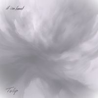 Tulip - if i'm honest