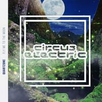 Quartzone - Fly Me to the Moon