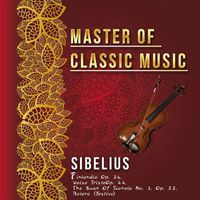 Berliner Philharmoniker - Master of Classic Music, Sibelius