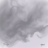 Tulip - again