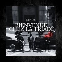 Ripou - Bienvenue chez la triade, Vol. 1 (Explicit)