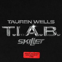 Tauren Wells - Take It All Back