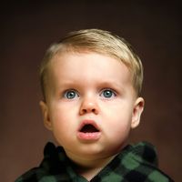 Livingston - Look Mom I Can Fly