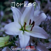 Jorkes - Wisdom of Whips