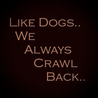 David Rozelle - Like Dogs We Always Crawl Back