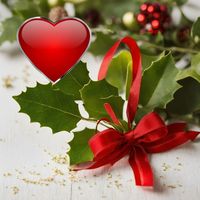 Maurice Williams - Lost Love at the Mistletoe