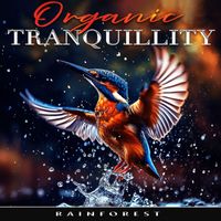 Rainforest - Organic Tranquillity