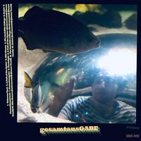 Gabe - gesamtausGABE