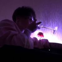 MOREL - night lights