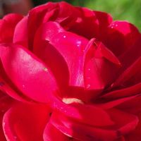 Ryan Sullivan - As the Fog Rolls In