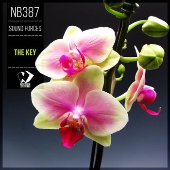 Sound Forces - The Key