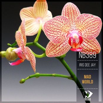 Iris Dee Jay - Mad World