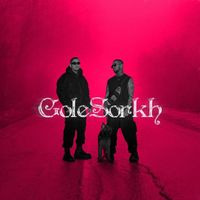 Outlaw - Gole Sorkh (Remix)