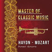 Stuttgart Chamber Orchestra - Master of Classic Music, Haydn