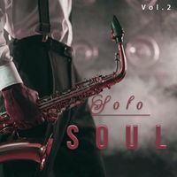 Swamp Dogg - Solo Soul, Vol. 2