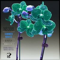 Ilya Fly - Summer Nights: Remixes, Pt. 1