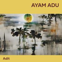 adit - ayam adu