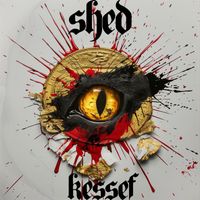 Shed - Kessef