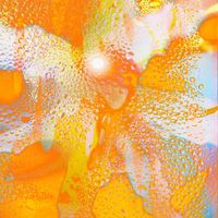 Zeb - Zeb - Spotted Delight [FREE DL]