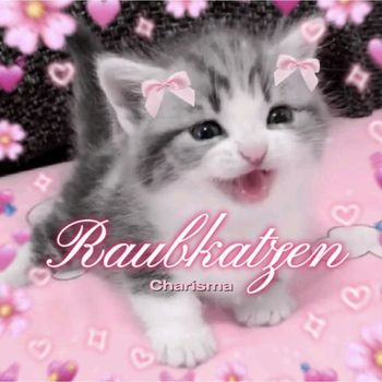 Charisma - Raubkatzen
