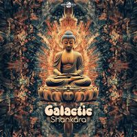 Galactic - Shankara