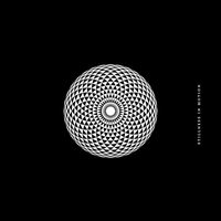 Anonymous - Stillness in Motion