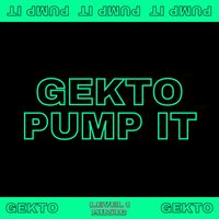 Gekto - Pump It