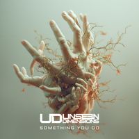 Unseen Dimensions - Something You Do