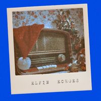 Skyler - Elfin Echoes