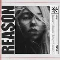 SNDR - Reason
