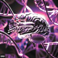 ESTER - ENDORFINE (Explicit)