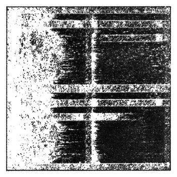Fracture - SLOW860