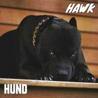 hawk - HUND (INTRO)