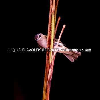 Various Artists - Various Artists 9