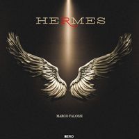 Marco Falossi - HERMES