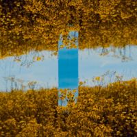 Aalson - World Of Reflections Remixes
