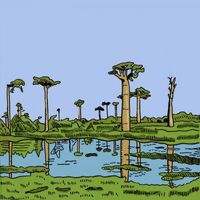 LEON - Safari