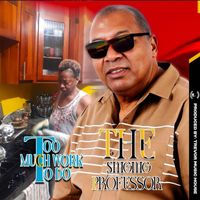 The Singing Professor - Too Much Work To Do
