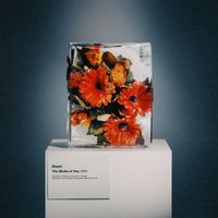 Bloom - The Works Of You