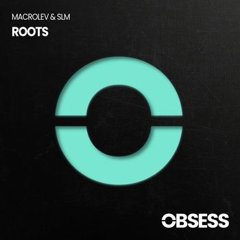 Macrolev & SLM - Roots