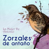 Trio Matamoros - Zorzales de Antaño…La Mujer De Antonio