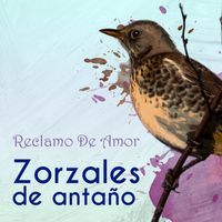Trio Matamoros - Zorzales de Antaño…Reclamo De Amor