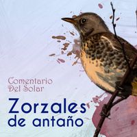 Trío Matamoros - Zorzales de Antaño…Comentario Del Solar