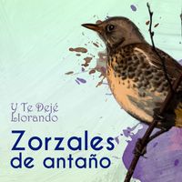 Orquesta Típica Victor - Zorzales de Antaño…Y Te Dejé Llorando