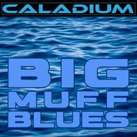 Caladium - Big Muff Blues