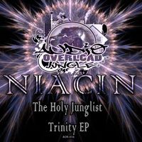 Niacin - The Holy Junglist Trinity (Explicit)