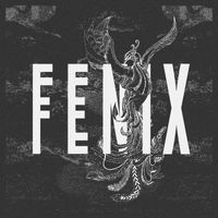 Midn8Runner - Fenix