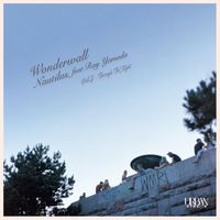 nautilus - wonderwall  through the night