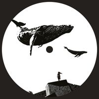 Harrison BDP - Confusion Of Sound