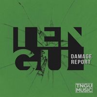 Tengu - Damage Report